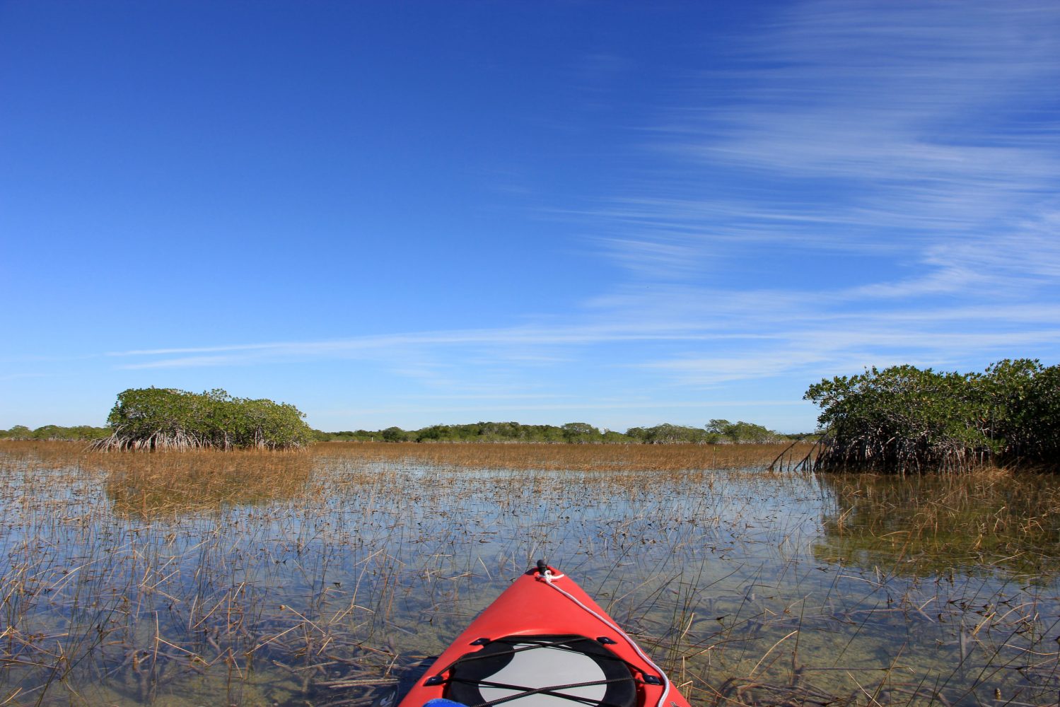 Red kayak on Nine Mile Pond in Everglades National Park, Florida on sunny winter afternoon.