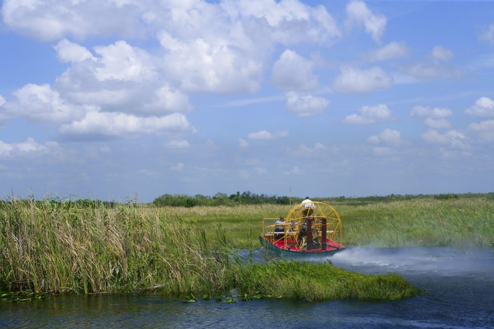 Airboat in Everglades Florida Big Cypress National Preserve