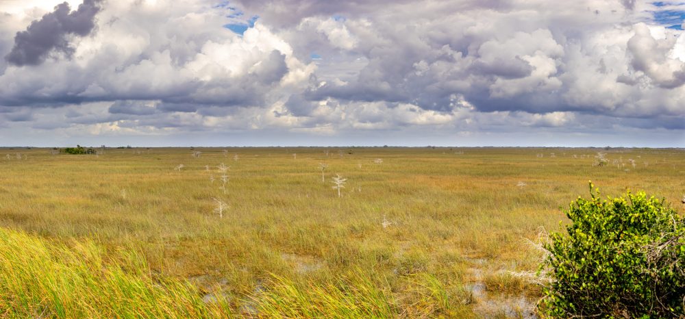 Everglades National Park - 2021